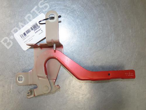 Hinge/Door check strap RENAULT CLIO IV (BH_) 1.2 TCe 120 (BHAU) | BP28082535C146 