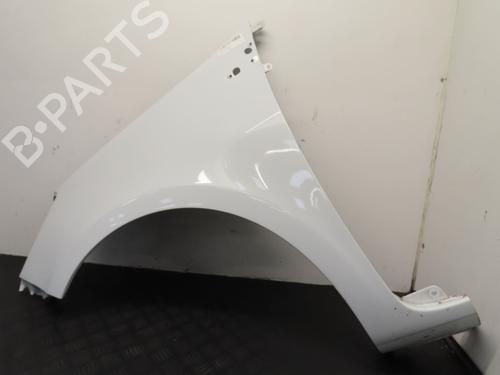 Left front fenders RENAULT CLIO III (BR0/1, CR0/1) 1.5 dCi (C/BR0G, C/BR1G) | BP22381741C41 