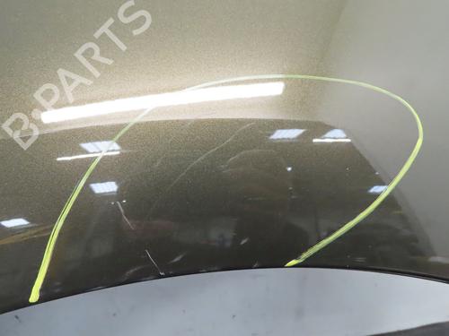 Forskærm venstre CITROËN C4 Picasso I MPV (UD_) 1.6 HDi 110 | BP29759563C41