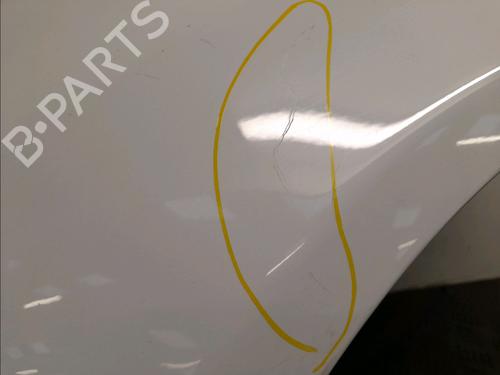 Left front fenders RENAULT CLIO II (BB_, CB_) 1.2 (BB0A, BB0F, BB10, BB1K, BB28, BB2D, BB2H, CB0A,... | BP22381738C41 