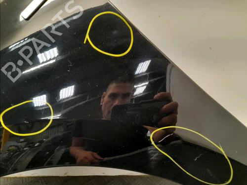 Left front fenders RENAULT MEGANE III Hatchback (BZ0/1_, B3_) 1.6 dCi (BZ00, BZ12, BZ13) | BP28032887C41 