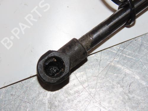 Hood lift support RENAULT SCÉNIC IV (J9_) 1.2 TCe 130 | BP29294013C139 
