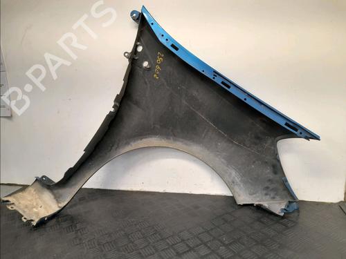 Left front fenders RENAULT CLIO III (BR0/1, CR0/1) 1.4 16V | BP28032886C41 