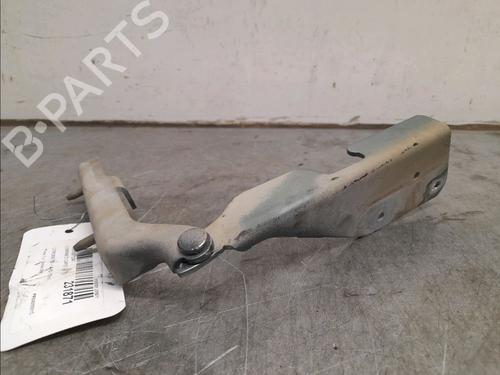 Hinge/Door check strap CITROËN C3 I (FC_, FN_) 1.4 HDi | BP16130369C146 