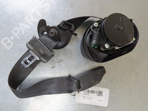 Used Front left belt tensioner RENAULT MEGANE IV Hatchback (B9A/M/N_) 1.5 dCi 110 (B9A3) (110 hp) 28032873