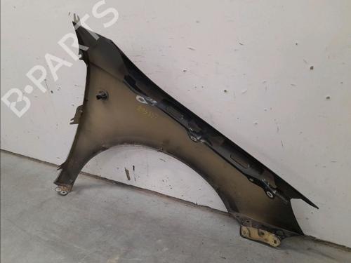 Left front fenders SKODA FABIA II Combi (545) 1.6 TDI | BP22366853C41 