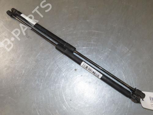 Tailgate lift support FORD FIESTA VI (CB1, CCN) 1.4 TDCi | BP19025130C138 