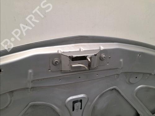 Hood RENAULT CLIO III (BR0/1, CR0/1) 1.4 16V | BP15273332C1 