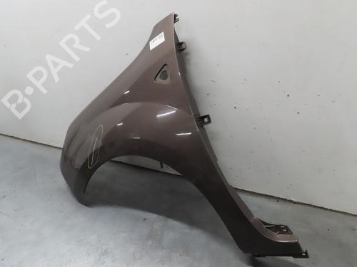 Left front fenders RENAULT KANGOO / GRAND KANGOO II (KW0/1_) 1.5 dCi 110 (KW0C, KW0H) | BP22366852C41 