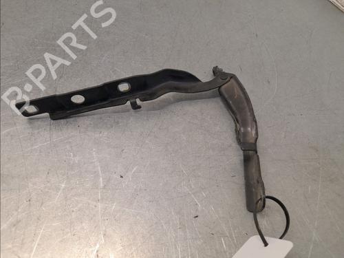 hingedoor-check-strap-citroen-c4-cactus-2014-33770256 main image