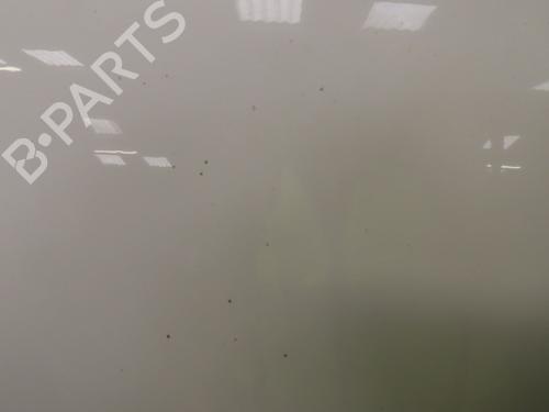 Hood AUDI A6 Allroad C6 (4FH) 3.0 TDI quattro | BP19528679C1 