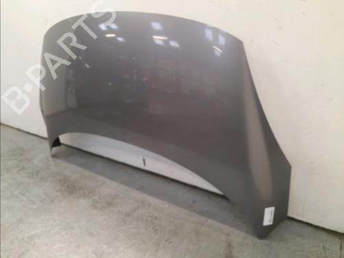 Hood RENAULT SCÉNIC III (JZ0/1_) 1.6 dCi (JZ00, JZ12) | BP16105841C1