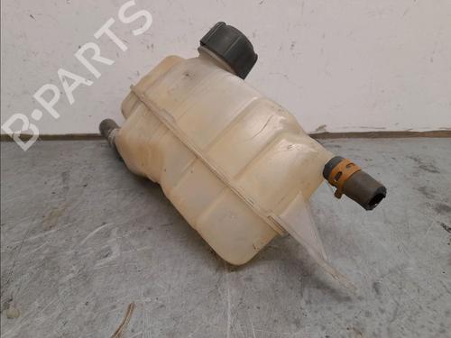 Used Expansion tank RENAULT CLIO III (BR0/1, CR0/1) 1.5 dCi (88 hp) 11976254