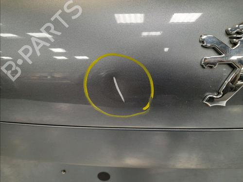 Tailgate PEUGEOT 207 (WA_, WC_) 1.6 HDi | BP12604555C6 