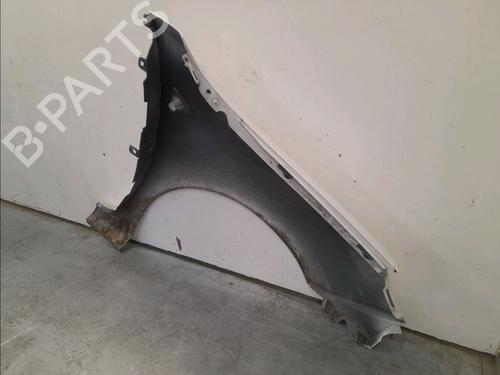 Used Left front fenders RENAULT KANGOO Express (FW0/1_) 1.5 dCi 70 (FW0A, KW0V) (68 hp) 12207345