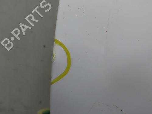 Used Left front door PEUGEOT 207 (WA_, WC_) 1.4 HDi (68 hp) 19689882