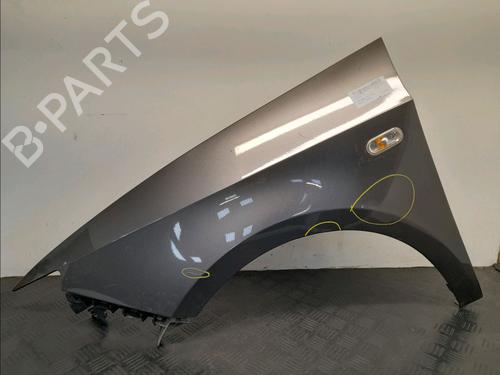 Left front fenders SEAT IBIZA IV ST (6J8, 6P8) 1.2 TSI | BP28032884C41 
