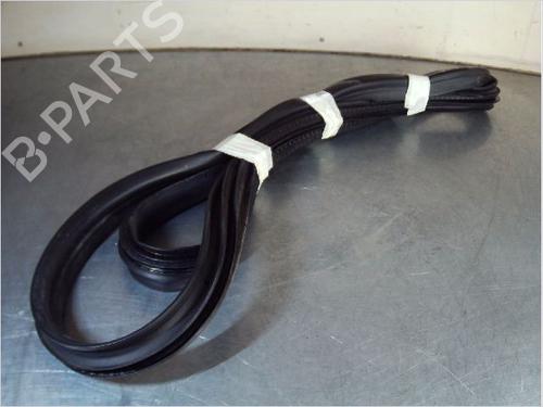 Used Rubber door seal RENAULT CLIO V (B7_) 1.0 TCe 100 (B7MT) (101 hp) 14857438
