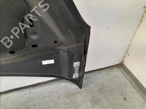 Used Hood CITROËN C3 II (SC_) 1.4 HDi 70 (SC8HZC, SC8HR0, SC8HP4) (68 hp) 14945416