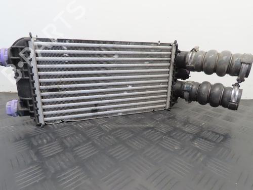 Andre PEUGEOT 2008 II (UD_, US_, UY_, UJ_, UR_, UC_) 1.2 PureTech 130 (USHNS, URHNS) (130 hp) 19337632