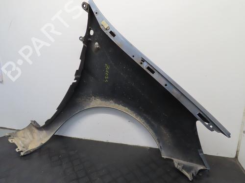 Left front fenders RENAULT CLIO III (BR0/1, CR0/1) 1.5 dCi (BR17, CR17) | BP19411839C41 