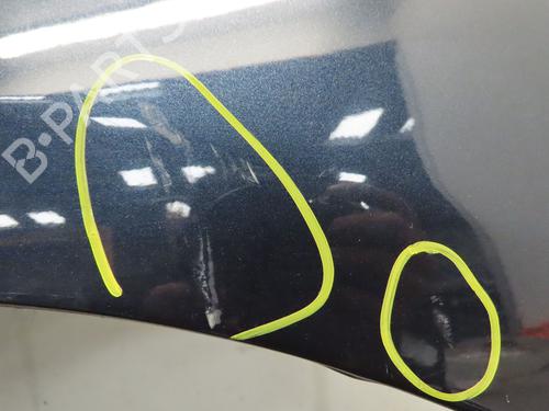 Forskærm venstre CITROËN C4 II (NC_) 1.6 HDi 110 | BP26898267C41 