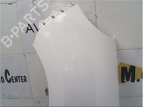 Left front fenders RENAULT KANGOO / GRAND KANGOO II (KW0/1_) 1.5 dCi 90 (KW05, KW08, KW0G, KW11) | BP9407571C41 