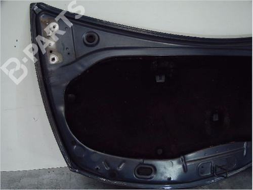 Hood RENAULT CLIO III (BR0/1, CR0/1) 1.5 dCi (BR17, CR17) | BP9410575C1 
