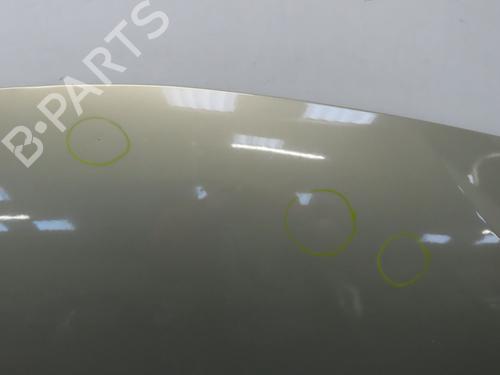 Hood DACIA SANDERO 1.4 (BS0C, BS0A, BS0G, BS1F, BS0E) | BP16429065C1 