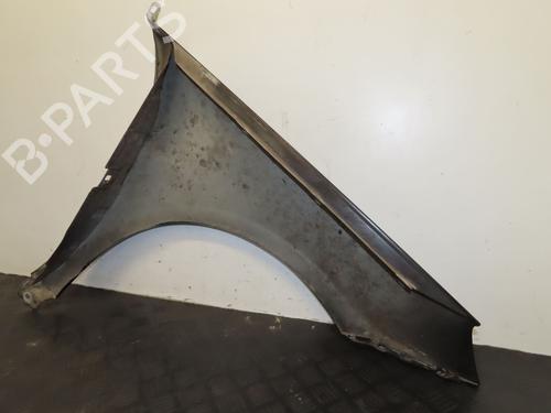 Left front fenders MERCEDES-BENZ B-CLASS Sports Tourer (W245) B 180 CDI (245.207) | BP29196553C41 
