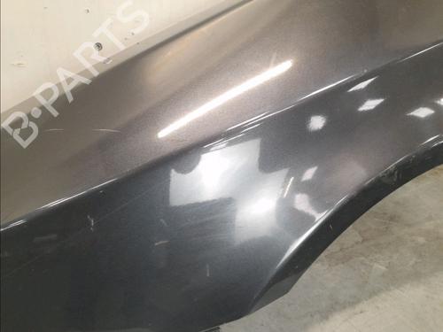 Left front fenders RENAULT VEL SATIS (BJ0_) 2.2 dCi (BJ0E, BJ0F, BJ0G, BJ0H) | BP14945370C41 