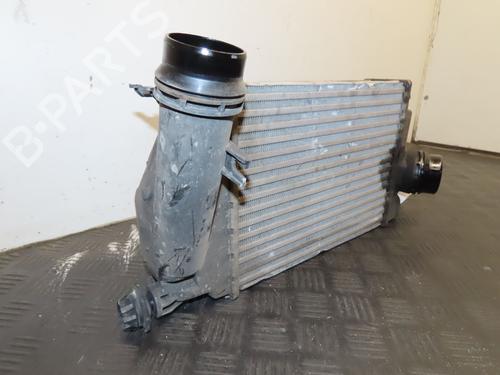 Intercooler RENAULT KADJAR (HA_, HL_) 1.5 dCi 110 (HLA3) | BP39966657M30 - Image 6