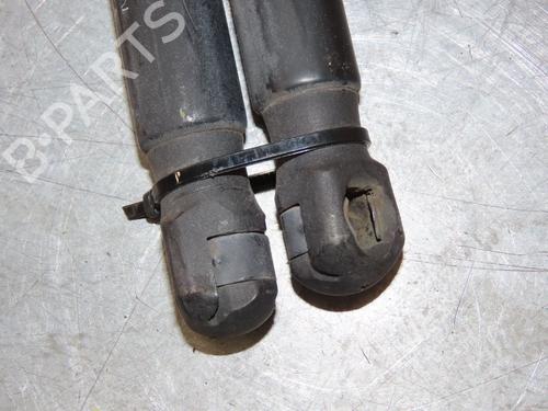 tailgate-lift-support-dacia-duster-hs_-2010-2011-2012-2013-2014-2015-2016-2017-2018-29294039 main image