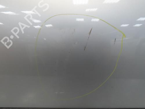 Left front door PEUGEOT 207 (WA_, WC_) 1.6 HDi | BP19790893C2 