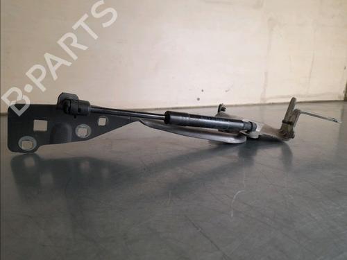 Hinge/Door check strap RENAULT SCÉNIC III (JZ0/1_) 1.5 dCi (JZ02, JZ0R) | BP14857344C146 