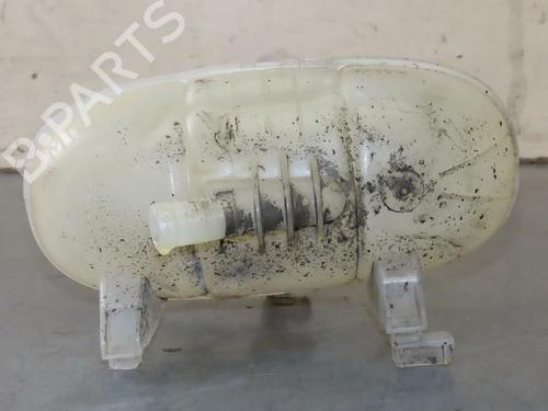 Used Expansion tank RENAULT TRAFIC III Van (FG_) 1.6 dCi 115 (FGMD) (116 hp) 25610318