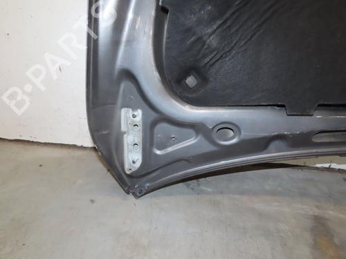 Hood VW GOLF PLUS V (5M1, 521) 1.9 TDI | BP29441472C1 
