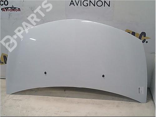 Used Hood RENAULT CLIO III (BR0/1, CR0/1) 1.2 16V (BR02, BR0J, BR11, CR02, CR0J, CR11) (75 hp) 9403138