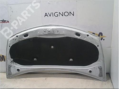 Hood RENAULT CLIO III (BR0/1, CR0/1) 1.2 16V (BR02, BR0J, BR11, CR02, CR0J, CR11) | BP9403138C1 