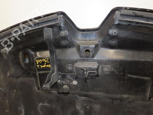 Hood RENAULT MEGANE III Hatchback (BZ0/1_, B3_) 1.6 dCi (BZ00, BZ12, BZ13) | BP27438299C1 