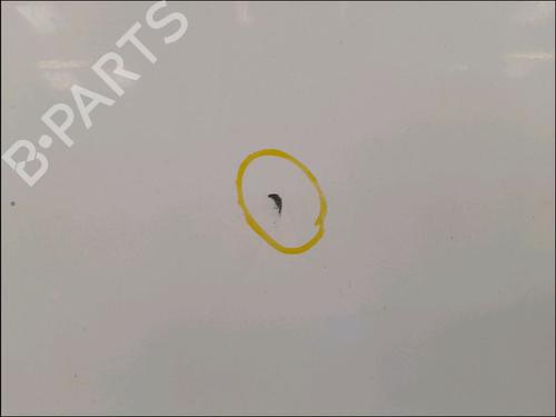 Left tailgate CITROËN JUMPY II Van 2.0 HDi 125 | BP28120600C76 