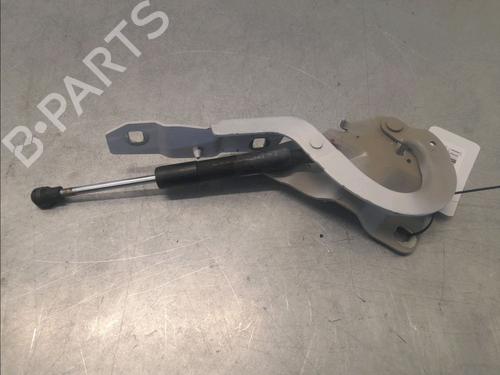 Hinge/Door check strap RENAULT ZOE (BFM_) ZOE | BP30047596C146 