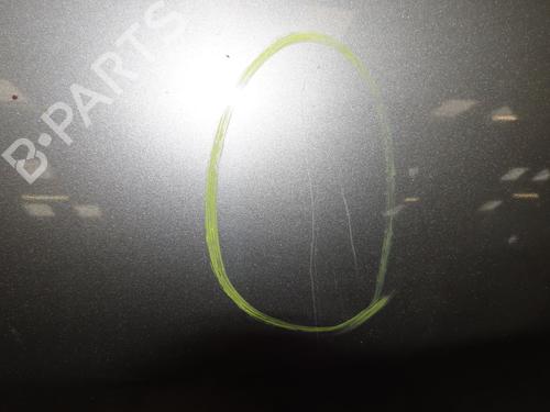 Tailgate RENAULT CLIO III (BR0/1, CR0/1) 1.5 dCi (C/BR0G, C/BR1G) | BP30366575C6