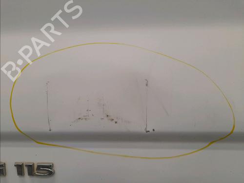 Left front door NISSAN PRIMASTAR Van (X83) 2.0 dCi 115 | BP22367076C2 