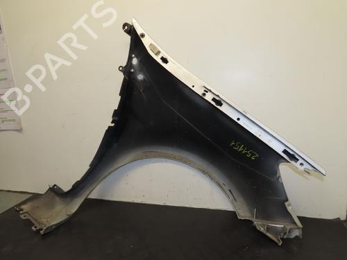 Left front fenders RENAULT CLIO III (BR0/1, CR0/1) 1.5 dCi | BP30332468C41
