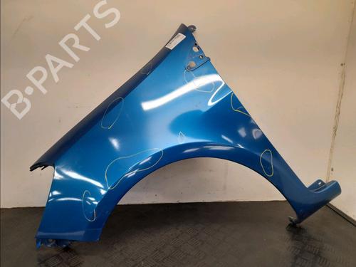 Left front fenders RENAULT CLIO III (BR0/1, CR0/1) 1.4 16V | BP28032886C41 
