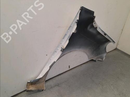 Left front fenders RENAULT KANGOO Express (FW0/1_) 1.5 dCi 70 (FW0A, KW0V) | BP16039690C41 
