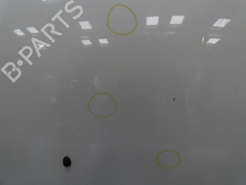 Hood RENAULT CLIO III (BR0/1, CR0/1) 1.5 dCi (C/BR0G, C/BR1G) | BP17662649C1 