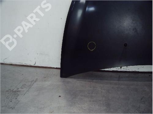 Hood RENAULT CLIO III (BR0/1, CR0/1) 1.5 dCi (BR17, CR17) | BP10372904C1 
