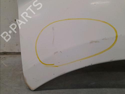 Right front fenders NISSAN PRIMASTAR Van (X83) 2.0 dCi 115 | BP22366817C42 